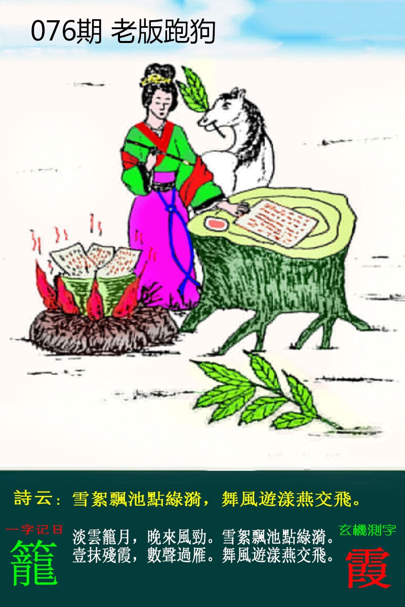 王中王论坛
