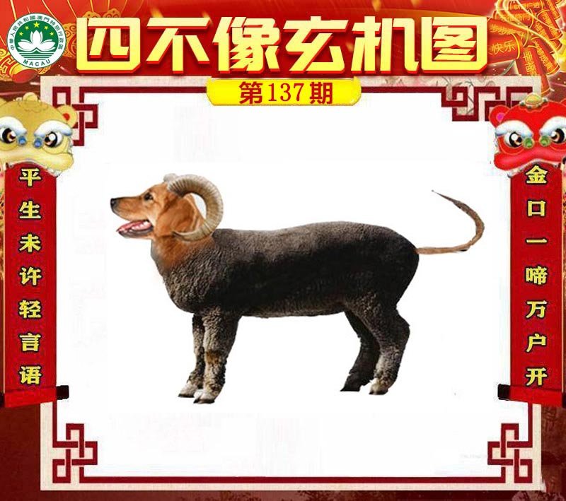 图片正在更新中……