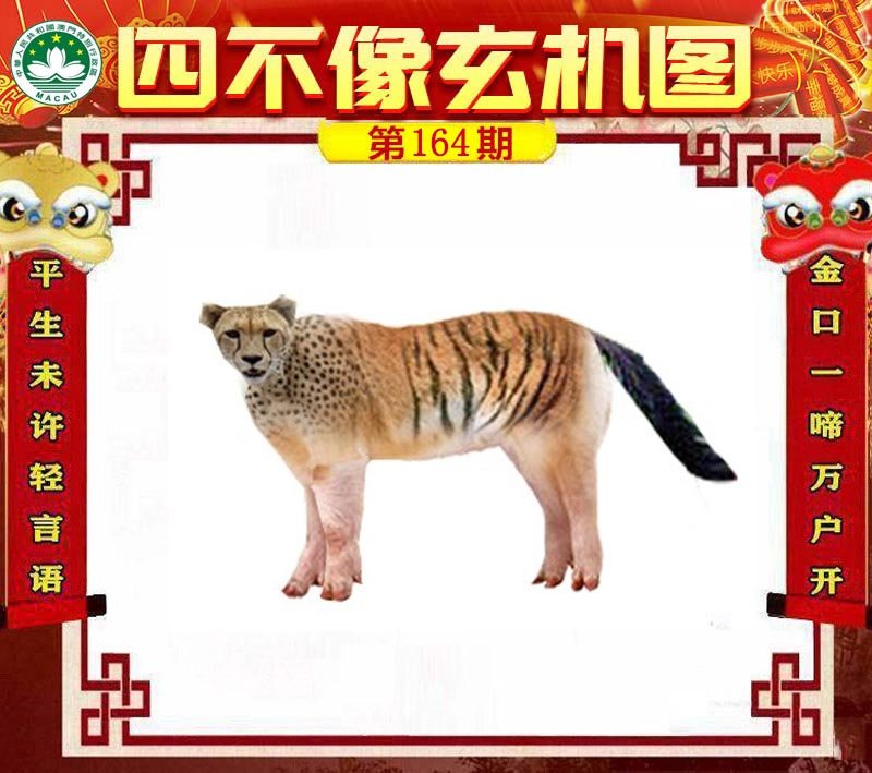 图片正在更新中……