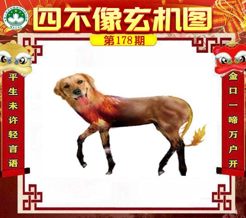 图片正在更新中……