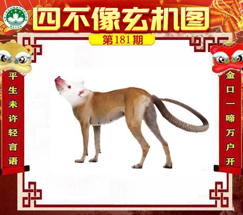 图片正在更新中……