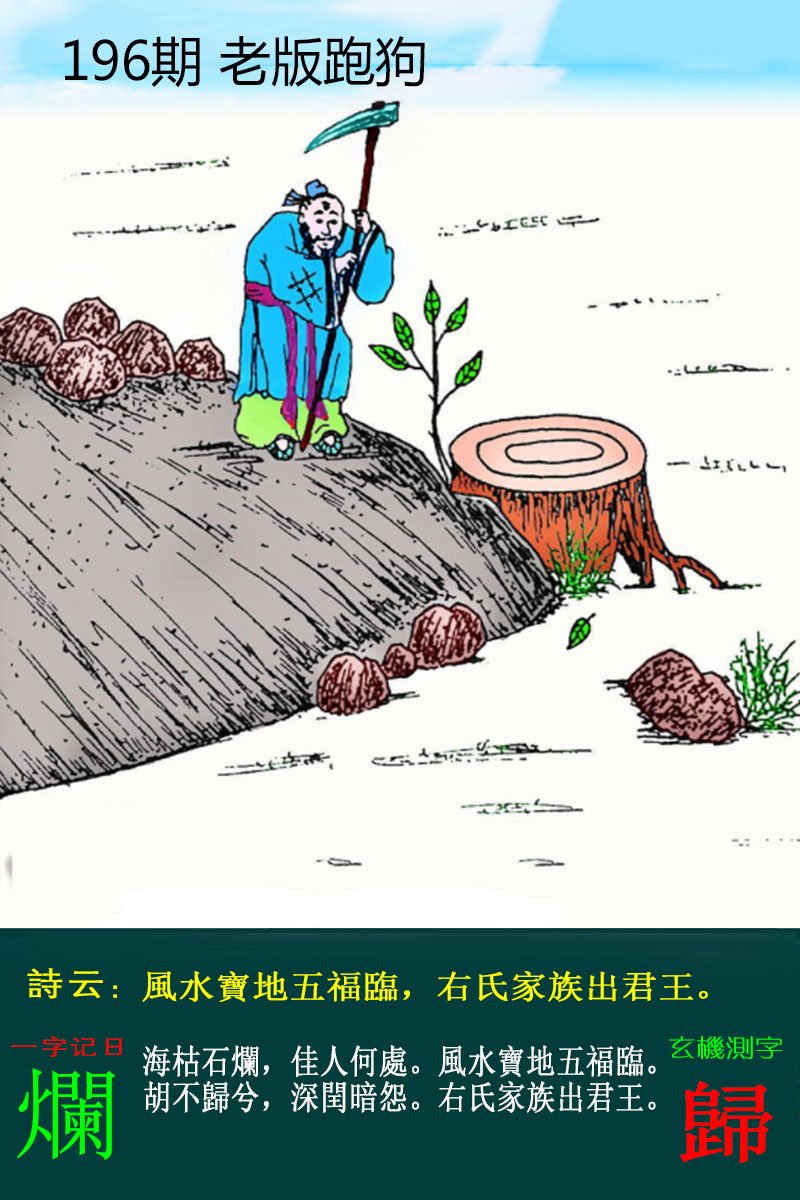 王中王论坛