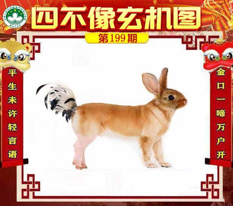 图片正在更新中……