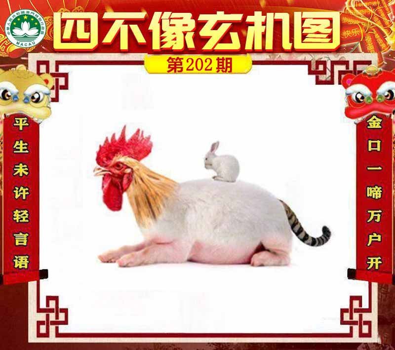 图片正在更新中……