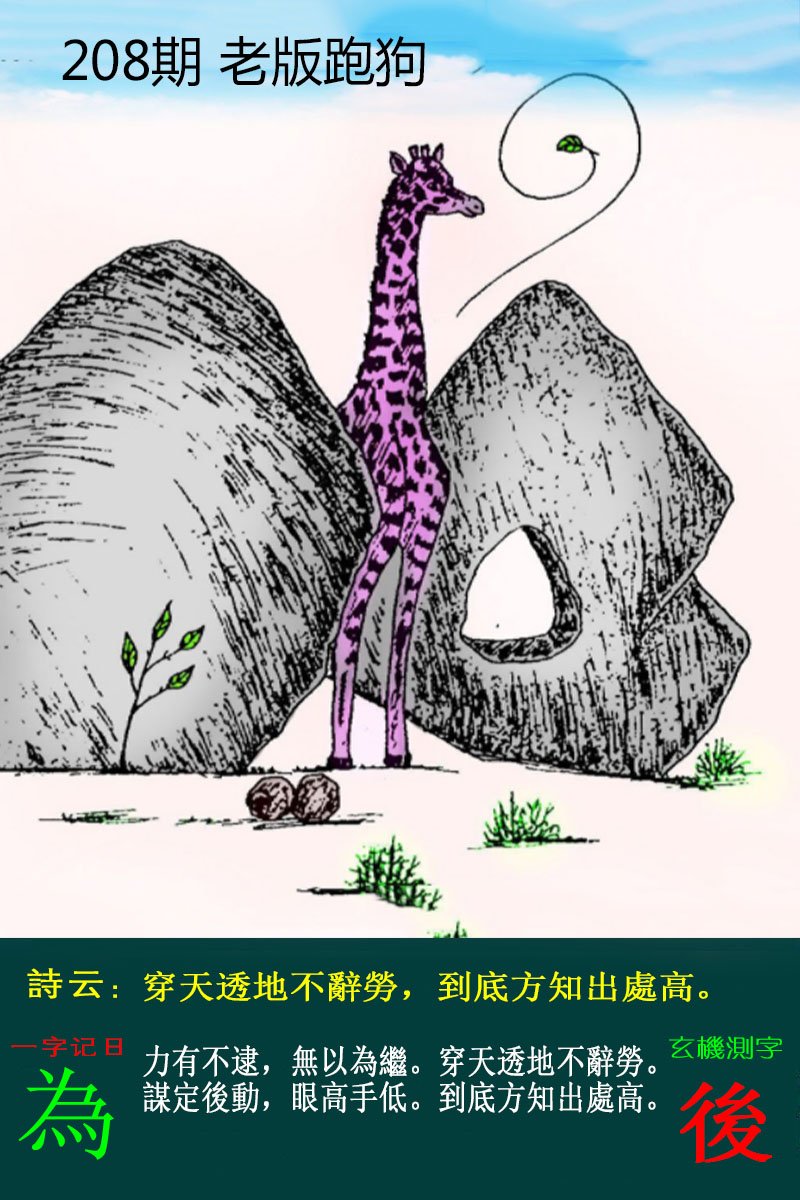 王中王论坛