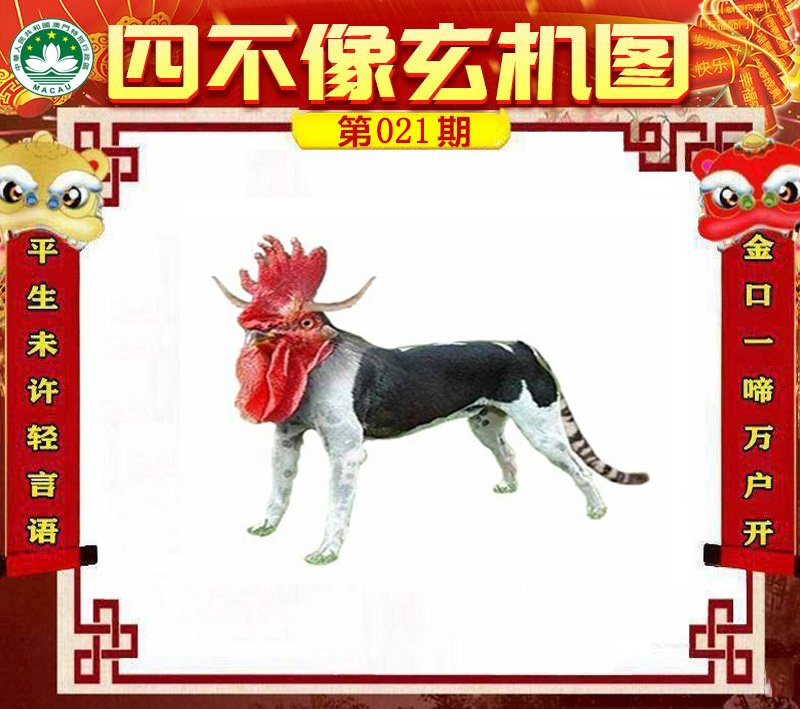 图片正在更新中……