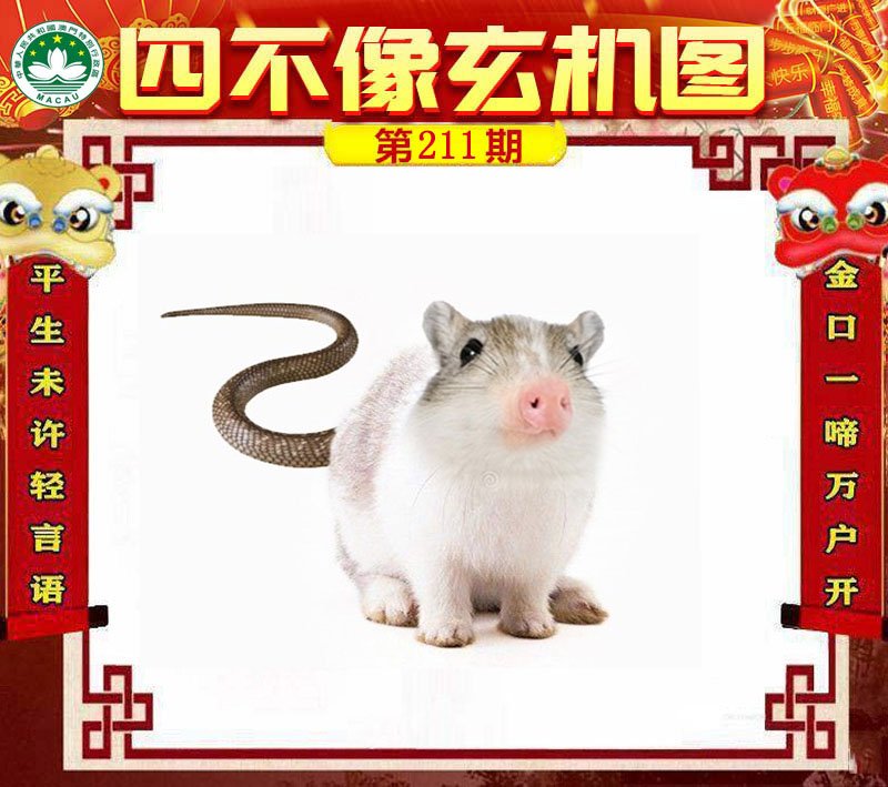 图片正在更新中……