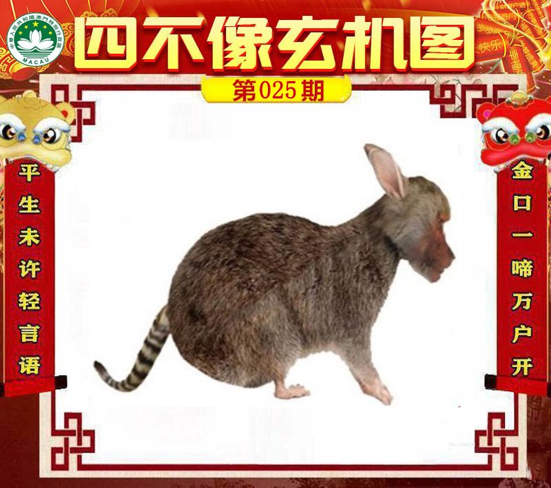 图片正在更新中……