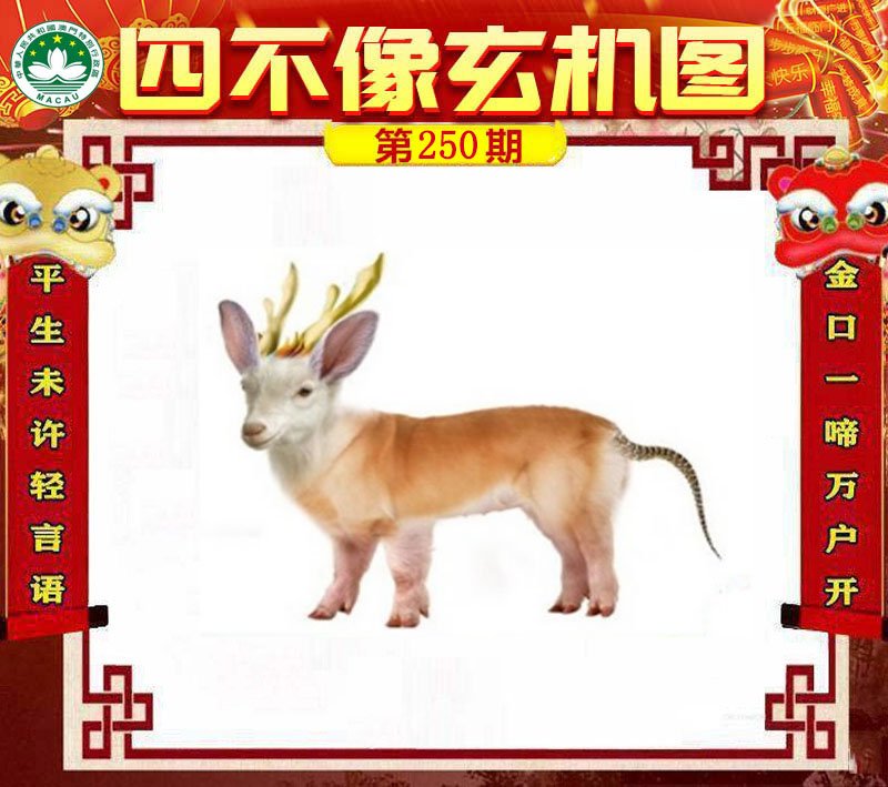 图片正在更新中……