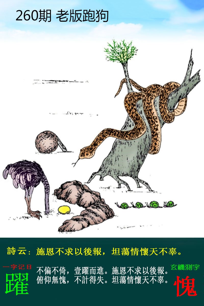 王中王论坛