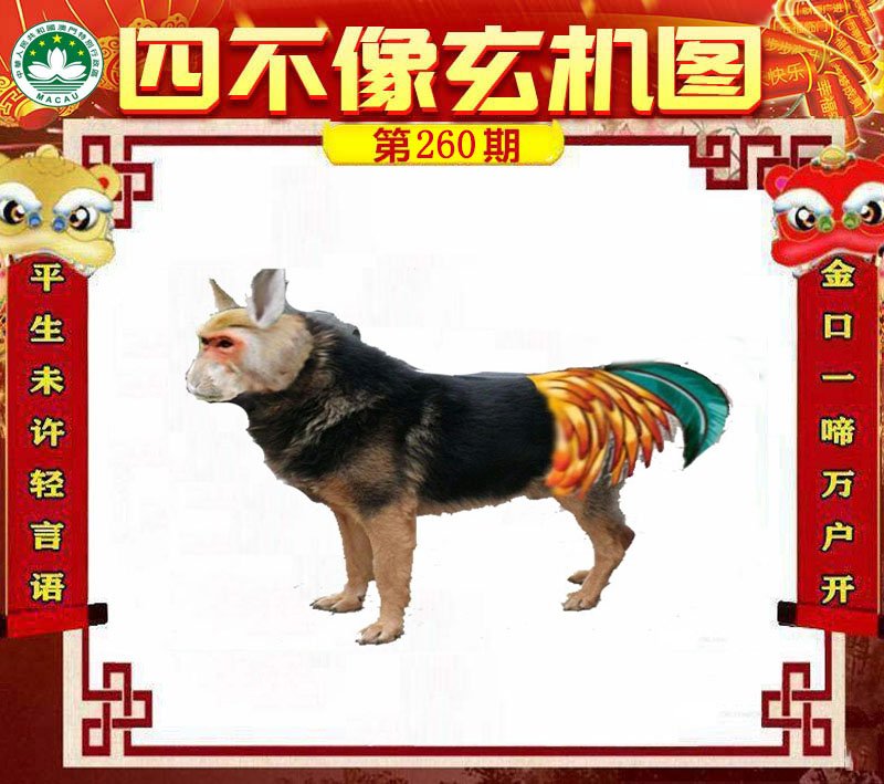 图片正在更新中……