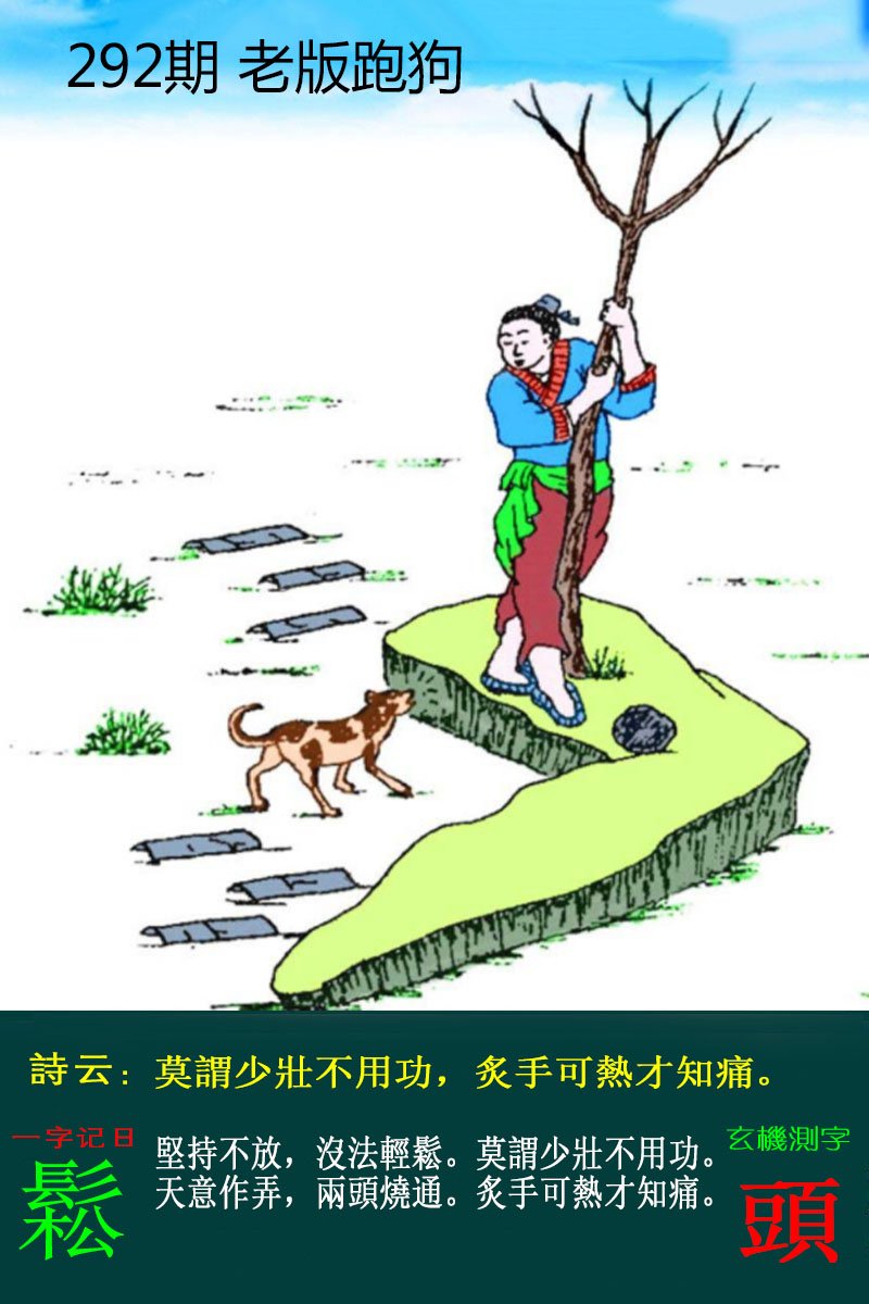 王中王论坛