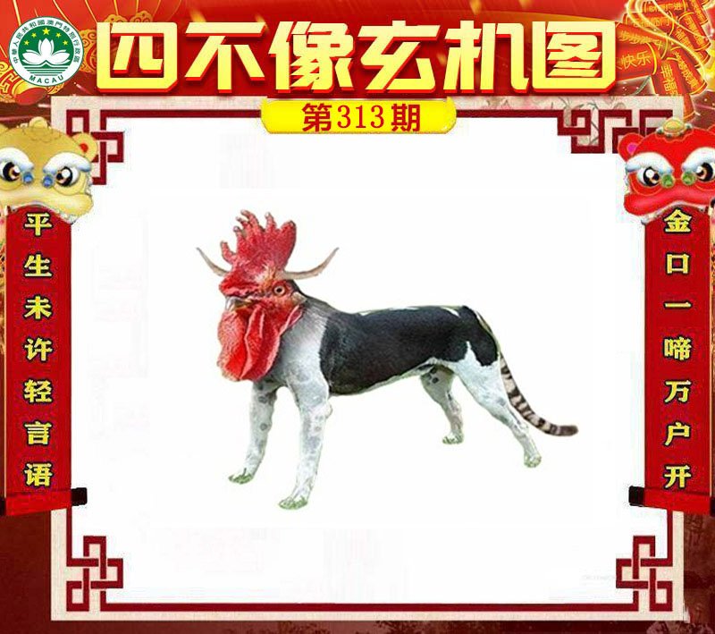 图片正在更新中……