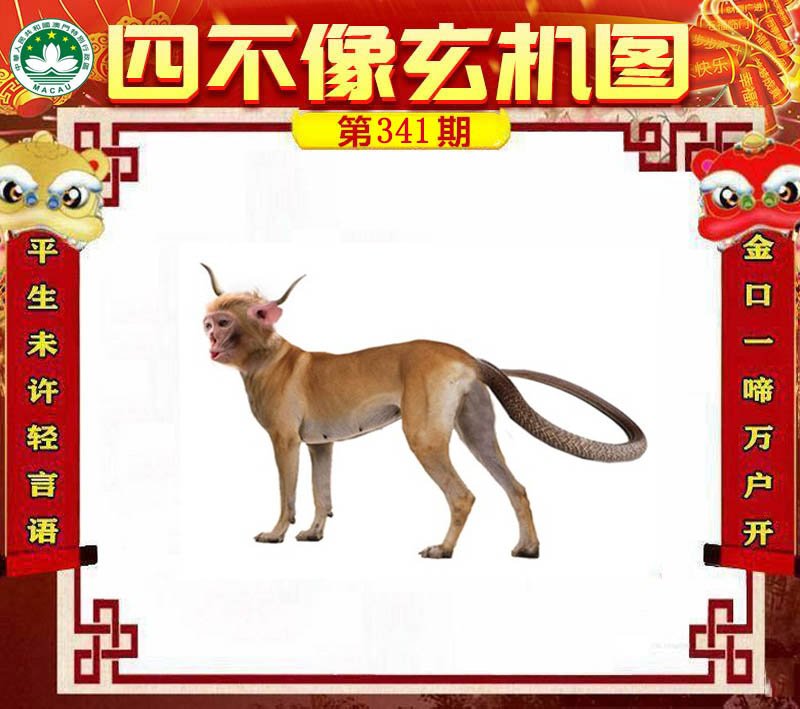 图片正在更新中……