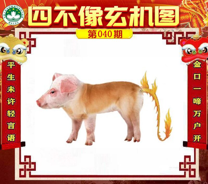 图片正在更新中……