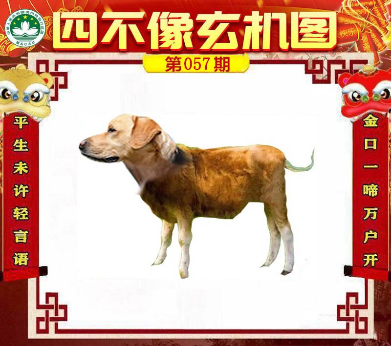 图片正在更新中……