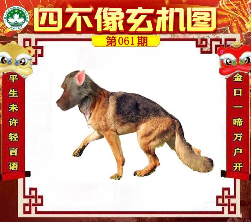 图片正在更新中……