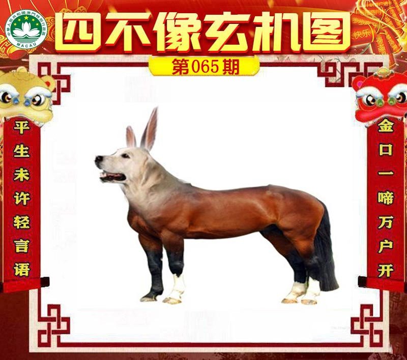 图片正在更新中……