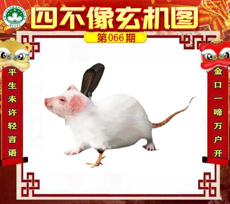 图片正在更新中……