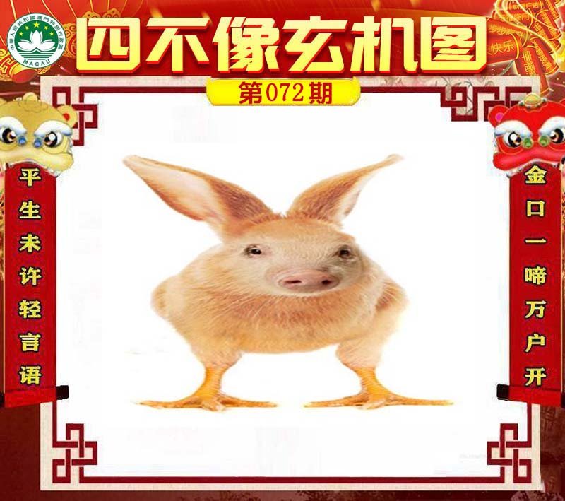 图片正在更新中……