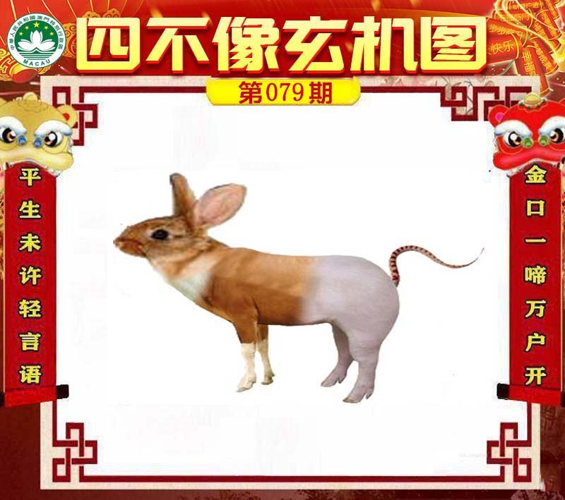 图片正在更新中……