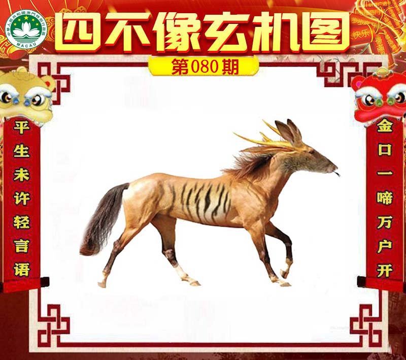 图片正在更新中……