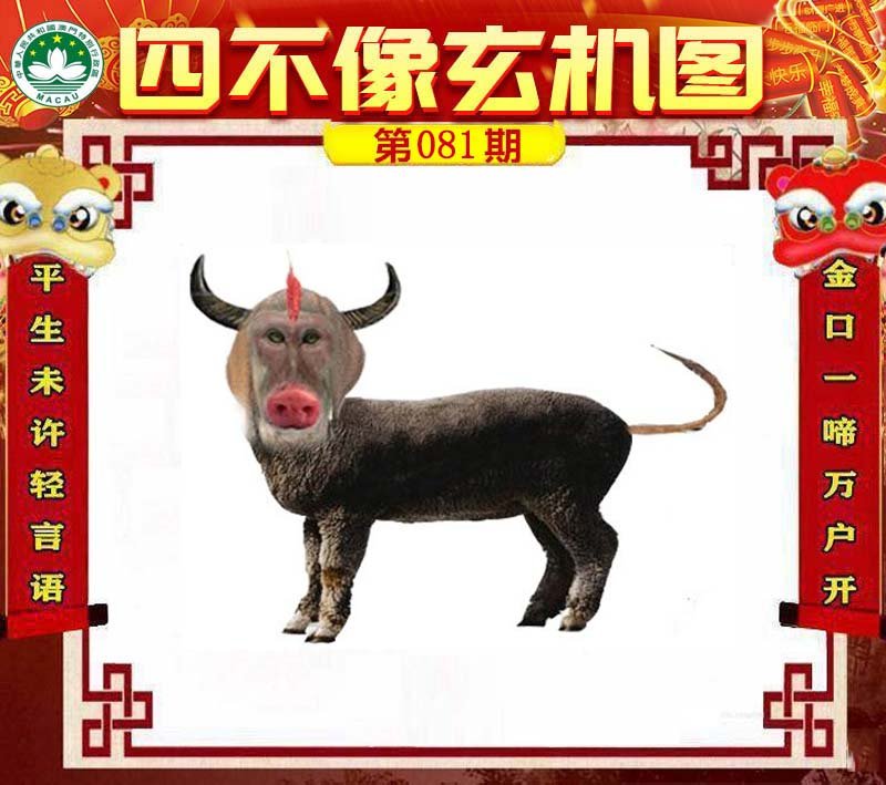 图片正在更新中……