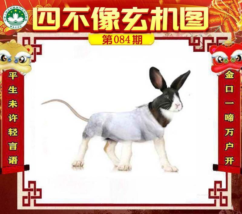 图片正在更新中……