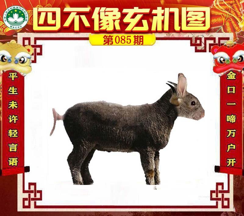 图片正在更新中……