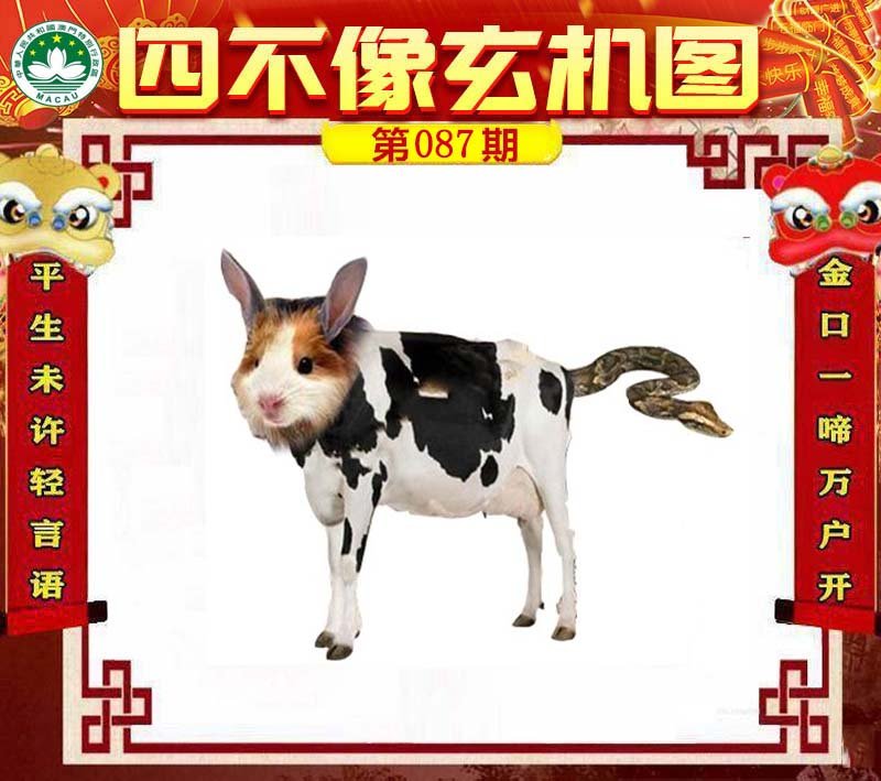 图片正在更新中……