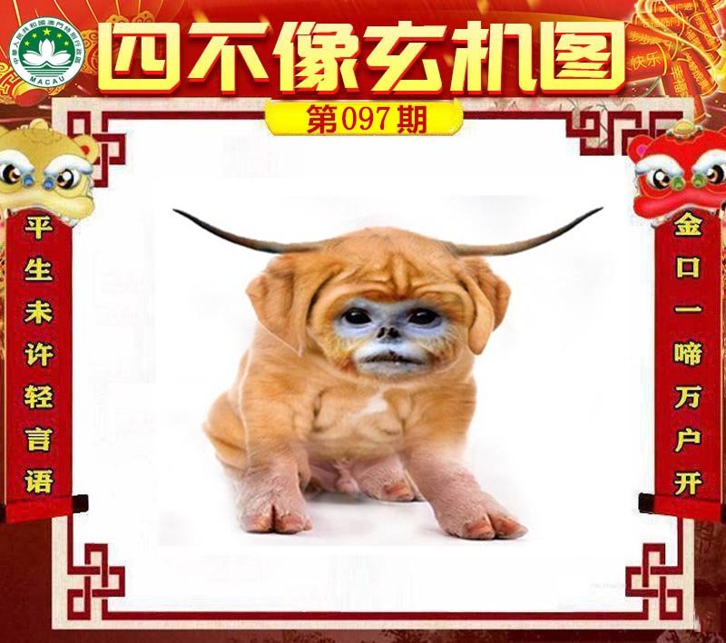 图片正在更新中……